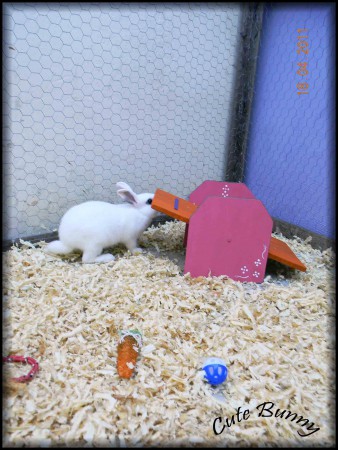 Pierre brincando na gangorra